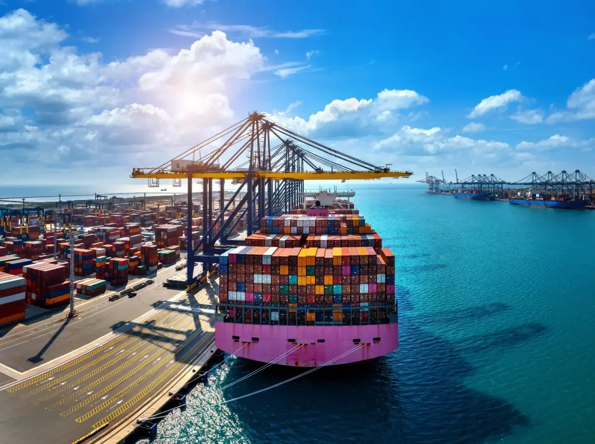 exportation